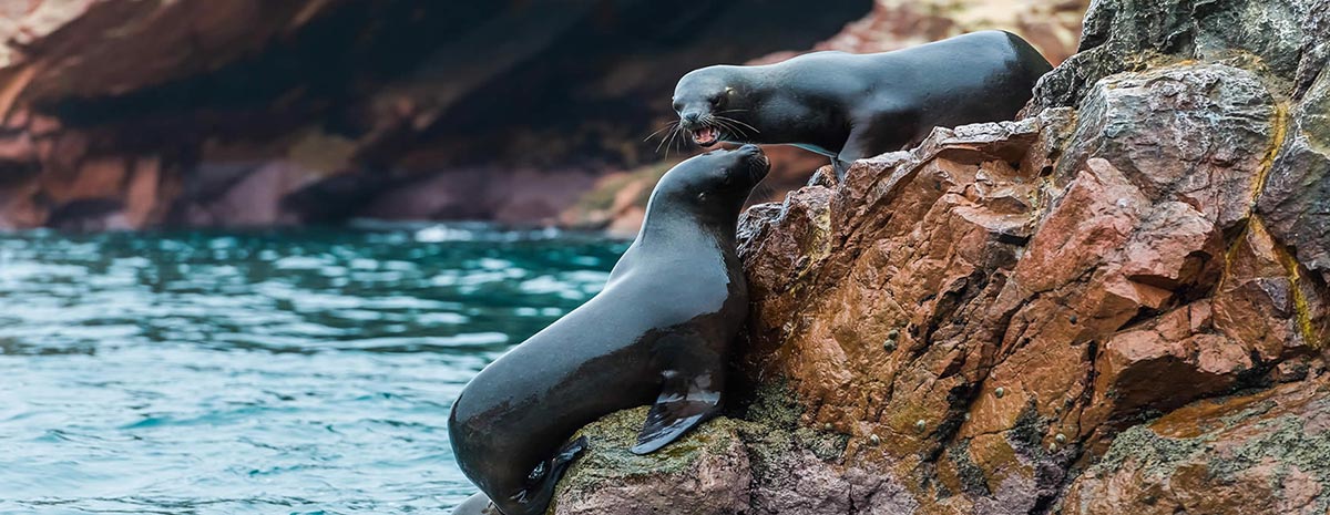 Las islas Ballestas