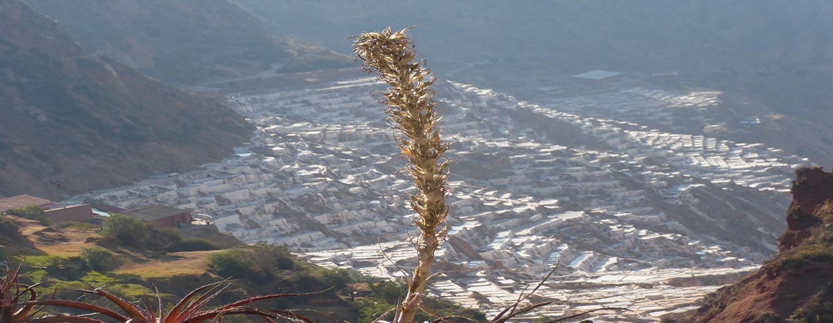 Vista de Maras